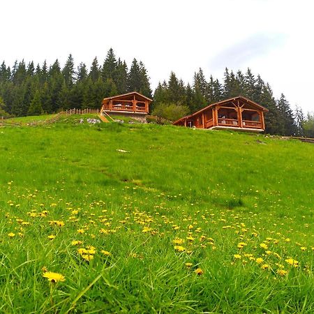 Къщи За Гости Под Звездите Pamporovo Exterior foto