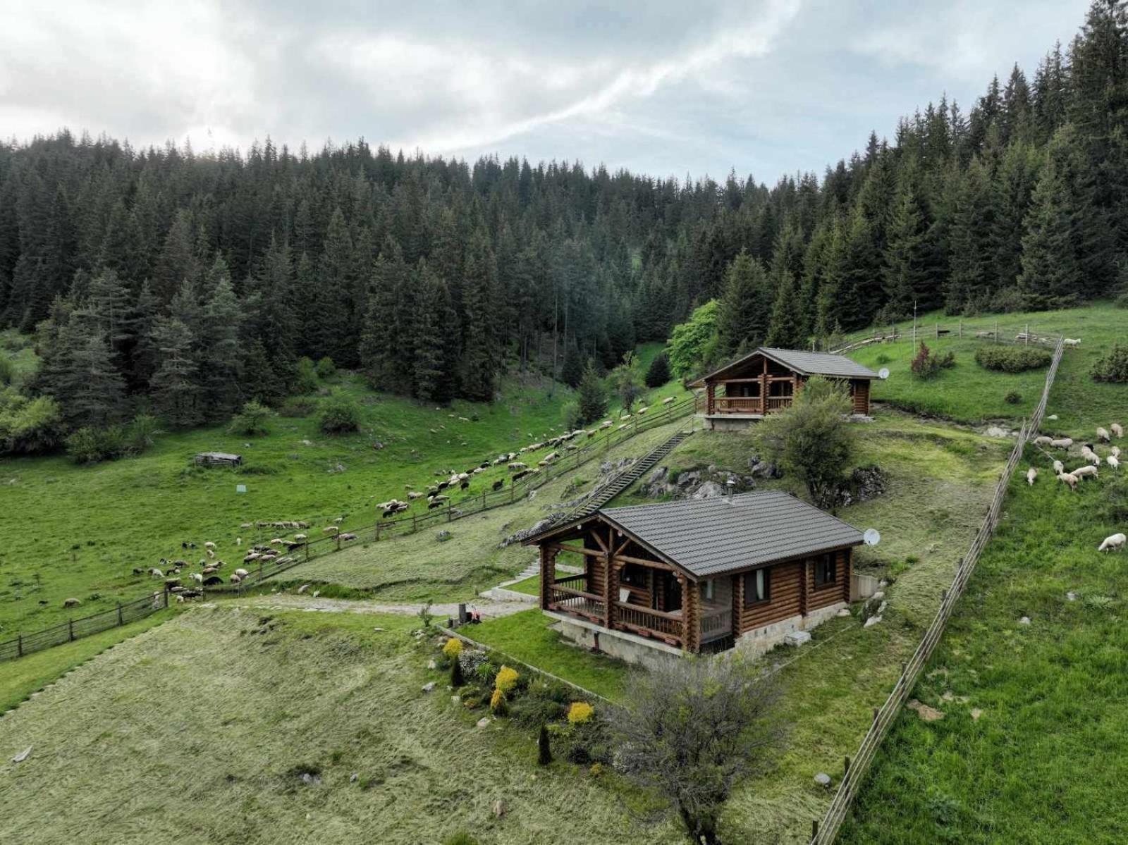 Къщи За Гости Под Звездите Pamporovo Exterior foto